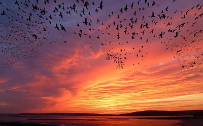 How to Migrate a WooCommerce Site to a New Design Without Losing Data